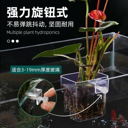 水培植物篮鱼缸家用水草种植杯壁挂式挺水植物定植篮鱼缸造景装饰