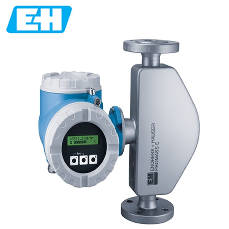 德国E+H 恩德斯豪斯80E系列 质量流量计原装正品