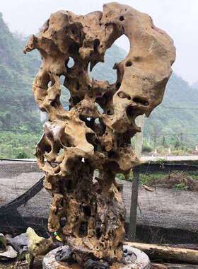 湖石园林景观假山流水庭院石施料55865工制作景观园景太石观石景