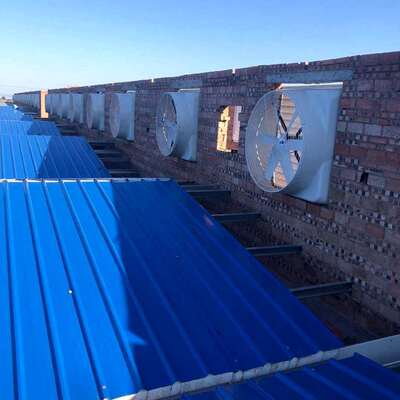 养殖场大通风工程畜牧殖鸡舍通养风排CUY气温室棚换气通风工程厂