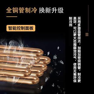 冰恩串串展示柜麻辣烫烧烤炸串店点DBP菜柜冷藏冷冻商冰柜保用典