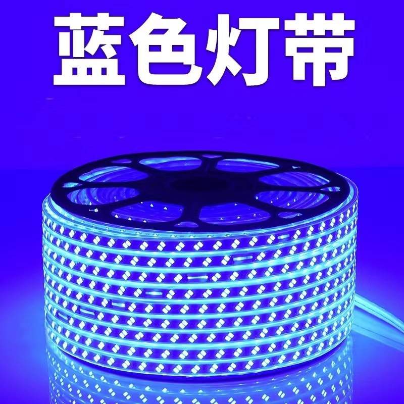 220v超亮5730双排工程家用商用户外绿化养殖防水软灯带条led灯带