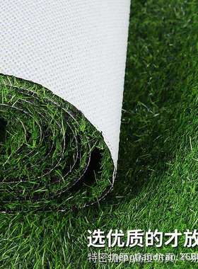 垫EVD户外假坪塑防滑地露天庭院地毯绿色草料皮阳台进门专用防草
