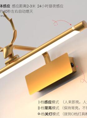 镜现代轻奢鹿人体感应带开关镜BL0250前灯le卫生间镜角柜d专用浴