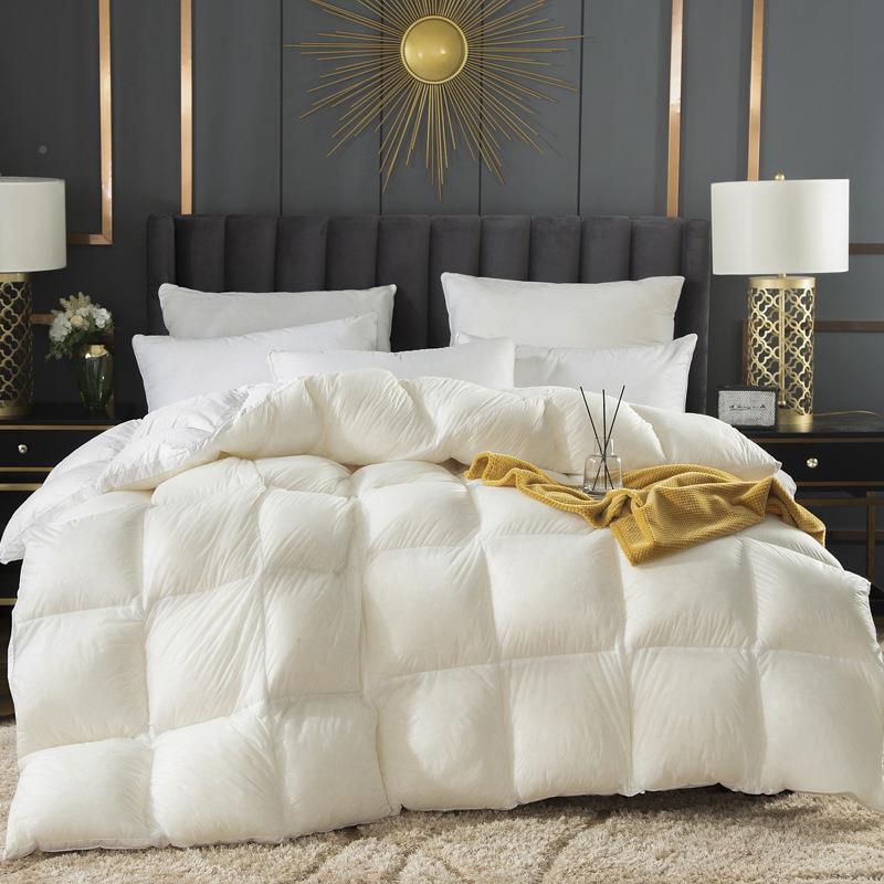 家纺冬季子80支透明羽绒被保Yrb-ber0暖朵冬被5绒A级9被5大白鹅被