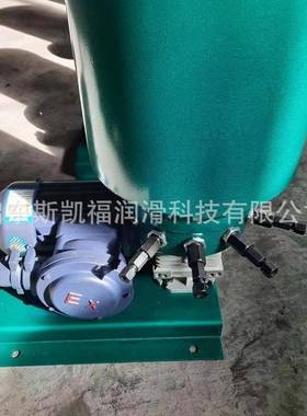 DB电动多干油泵润滑泵DDB-2点/4/D6/8/1QGA0/12黄油泵电动柱塞泵