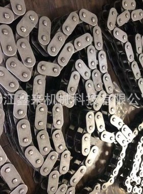 直板链条 C10B C12B/C10A/C12A/C16AB/C20AB/C24A/C32AB排双排