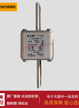 熔断器170M4614 170M4615 170M4616 170M4617 170M4618 170M4619
