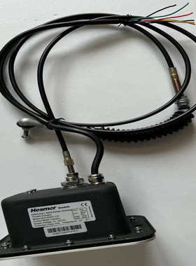 Hesmor 油门执行器