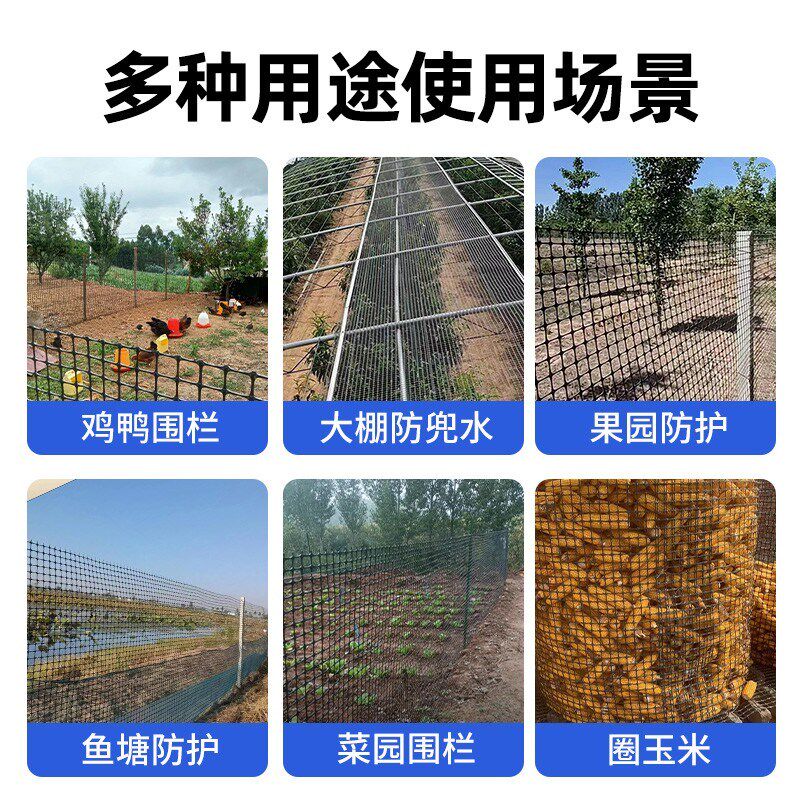塑料网格养殖网围栏网鱼塘防护圈玉米拦鸡网家用隔离户外围栏栅栏