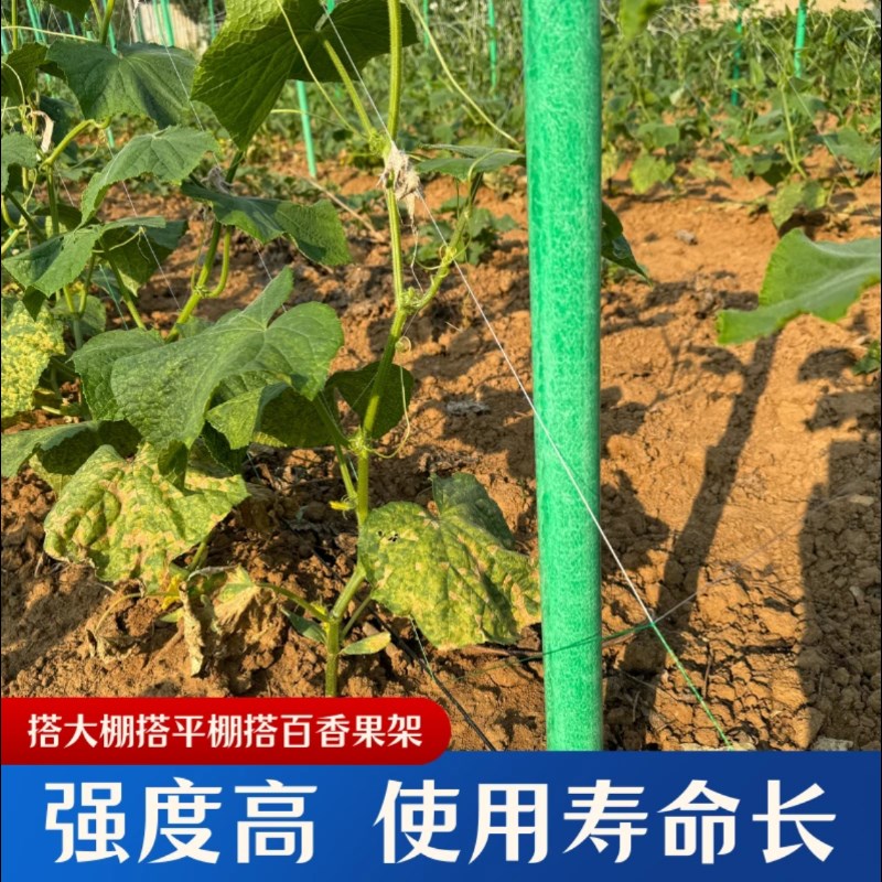 百香果立柱柑橘种植架农用瓜藤类大棚支架杆遮阳网玻璃纤维管