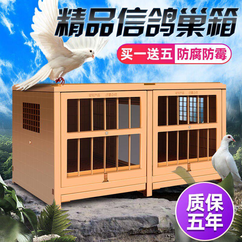 鸽子配对笼信鸽组合巢箱家用养殖新款鸽子笼塑料鸽子笼子鸽具用品