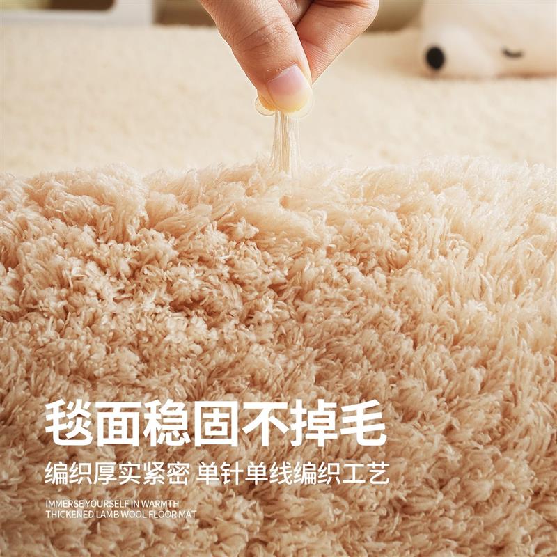 网红风ins毛绒暖色冬季地毯加厚保暖卧室床边毯满铺客厅茶几地垫