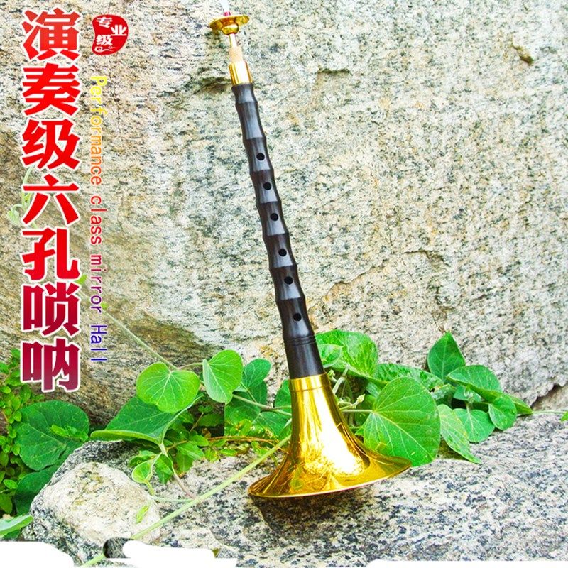 笛子唢呐乐器全套6孔笛子指法演奏大音量专业乌木降b调初学者d调