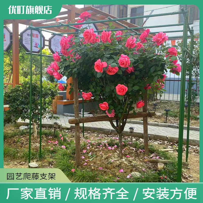 葡萄攀爬支撑架黄瓜架庭院阳台种菜爬藤架网豆角丝瓜户外蔬菜架子