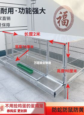 母鸡下蛋笼自动收蛋笼加密防啄防黄鼠狼大空间鸡笼户外养殖笼家禽