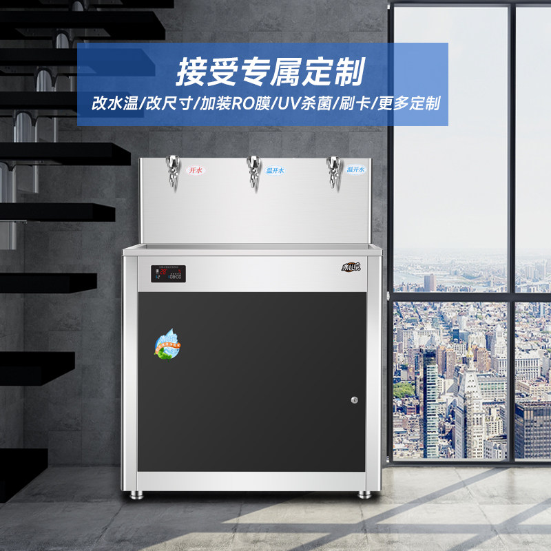 直饮水机商用开水器大容量工厂幼儿园温热反渗透学校纯水机冷热器
