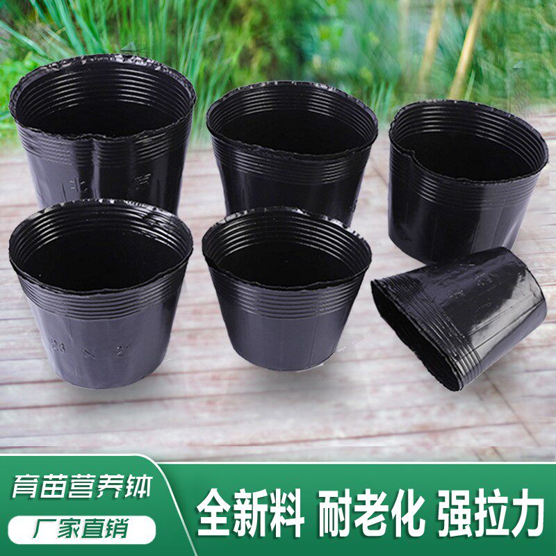 营养钵大棚塑料育苗杯农用天麻花盆黑色育苗袋加厚绿植养花种植袋
