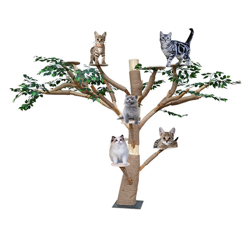 通天柱猫爬架不占地猫窝猫树一体猫抓柱顶天立地猫架猫屋麻绳实木