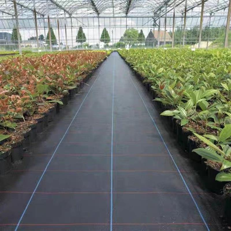 pe防草布除草布耐用果园艺地布大棚农用种植果树专用加厚新型地膜