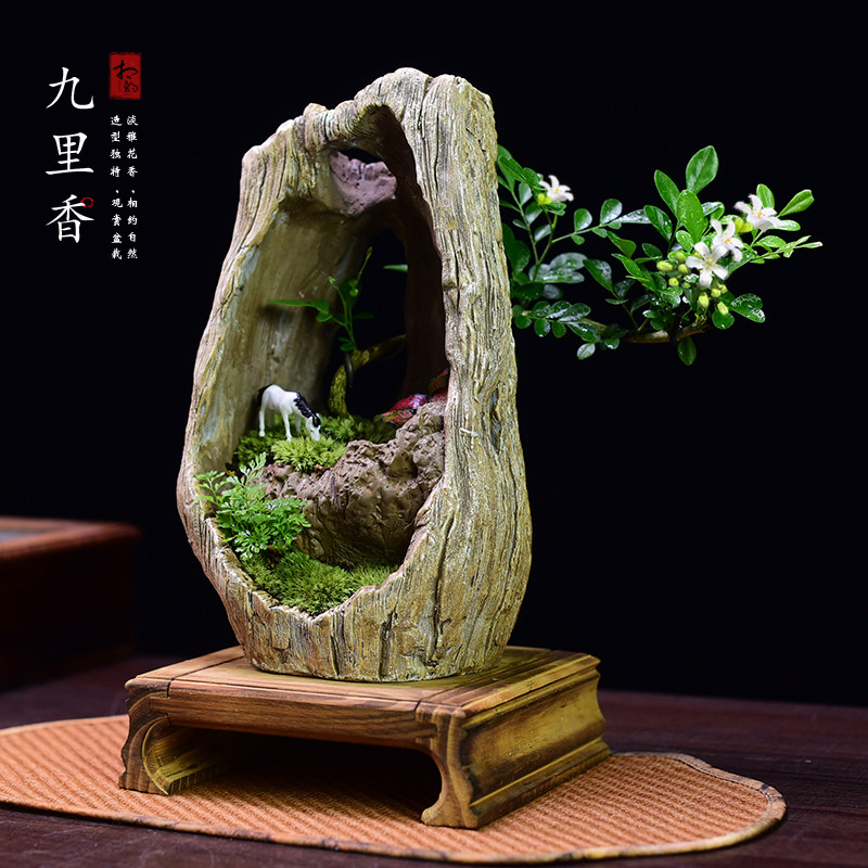 九里香盆栽罗汉松赤楠绿植室内绿植艺术盆景植物办公书房植物礼品