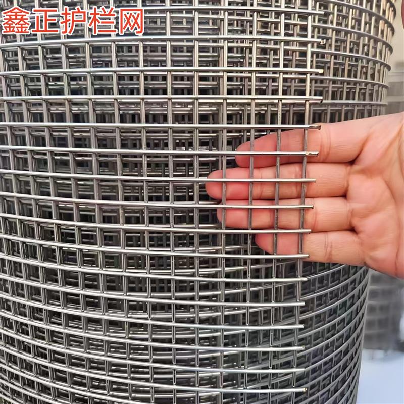 钢丝网电焊网 钢丝防护网 建筑养殖圈地防护铁丝网镀锌钢丝围栏网