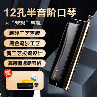 东方鼎12孔48音半音阶口琴梦想者2.0专业演奏12孔CAB调入门初学者