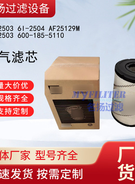 6I-2503 6I-2504空气滤芯 AF25129M P532503 600-185-5110空滤