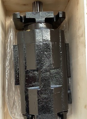 中国联强夯机双联泵GSA3063/CBXF3016-124R