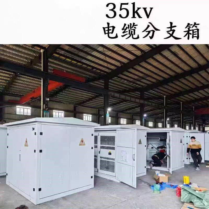 10KV欧式35KV电缆分支箱一进一出DFW-12/630户外高压不锈钢分接箱