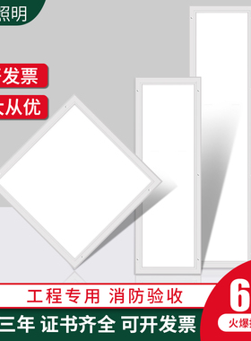 LED平板净化灯洁净灯3001200医院600x600吸顶灯实验室无尘车间灯