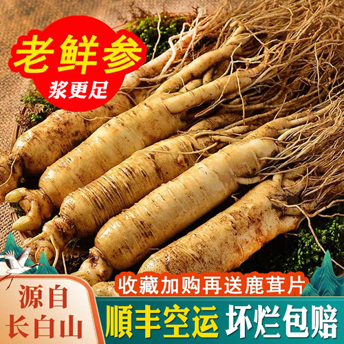 【顺丰空运】新鲜到家 收藏加购送鹿茸片