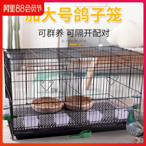 鸽子笼子家用鸽笼白鸽养殖鸽舍配对铁笼巢箱大型种鸽繁殖大号特大