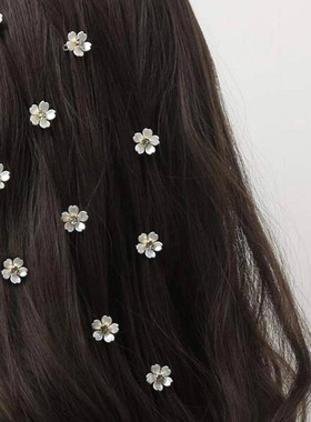 10pc欧美TEUMSHEIN爆款DIY假发脏辫饰品配件白色花朵带钻发扣发