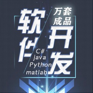 计算机设计软件工程系统开发代做java代码小程序python项目定制c#