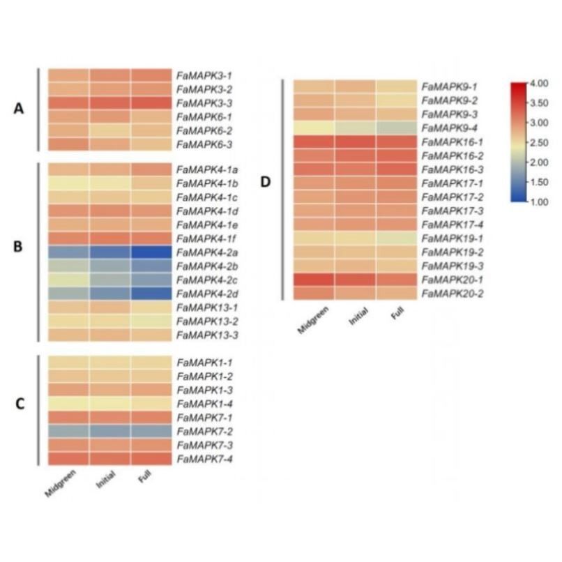 医学生信分析单细胞测序转录组TCGA GEO数据库挖掘分析服务,商务/设计服务,平面广告设计,淘宝优惠券,粉丝福利购,淘宝优惠卷