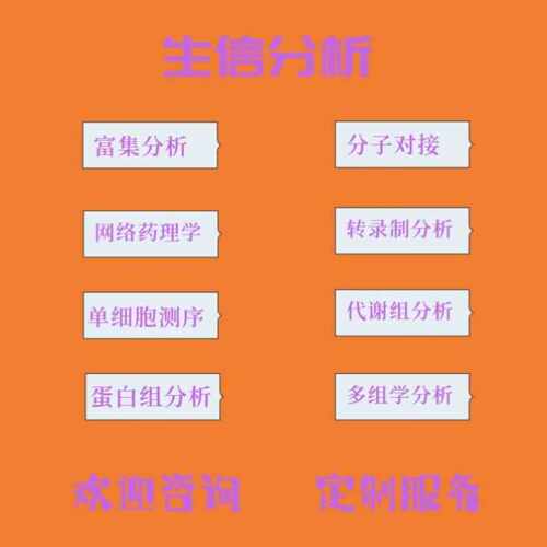分子对接单细胞测序数据分析转录TCGA GEO公共数据库生信分析服务
