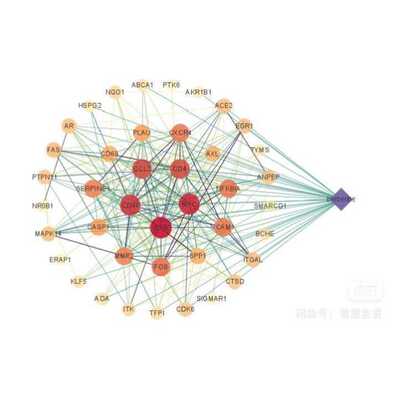 转录因子DNA结合位点分子对接可视化