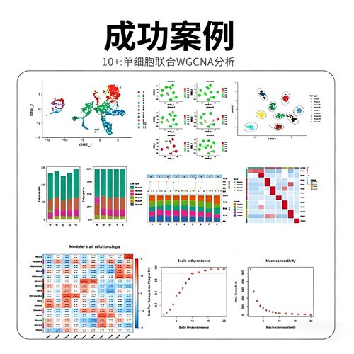 Python或R语言绘图数据分析可视化定制热图森林图ROC曲线柱形饼状