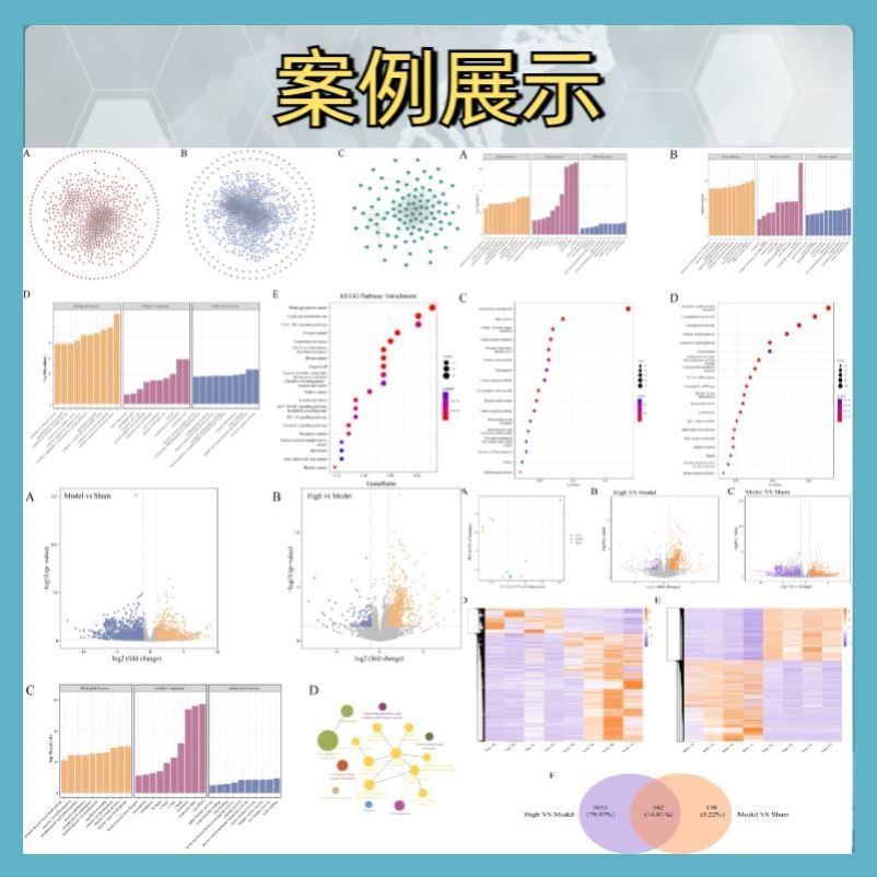 生信分析服务多组学联合分析TCGA GEO公共数据库挖掘孟德尔随机化