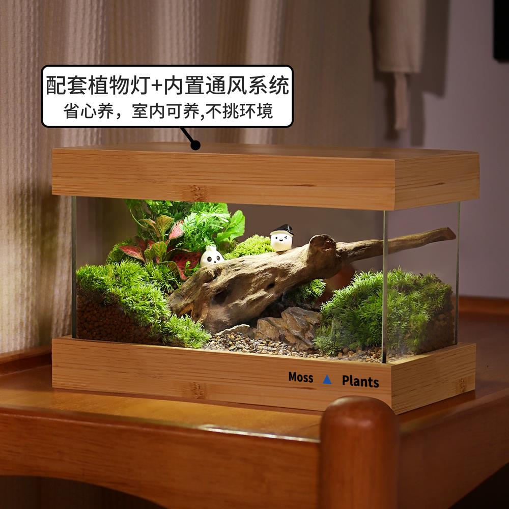 创意苔藓微景观生态雨林缸办公桌面盆栽植物成品礼物生态瓶盆栽