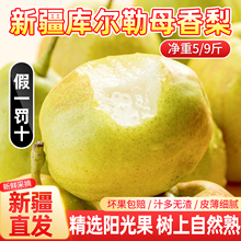 正宗新疆库尔勒香梨应当季新鲜水果精选特级全母梨子9斤整箱包邮