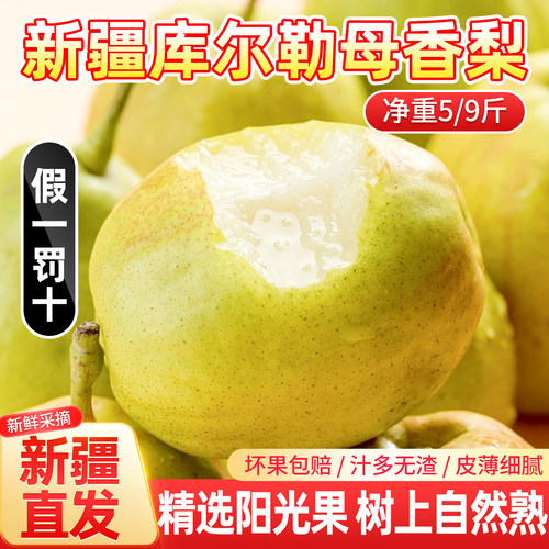 正宗新疆库尔勒香梨全母梨包邮