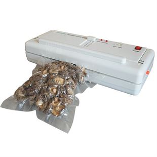 极速封装 300a光面袋干货真空机家T用抽真空封口机保 平面小型牌dz