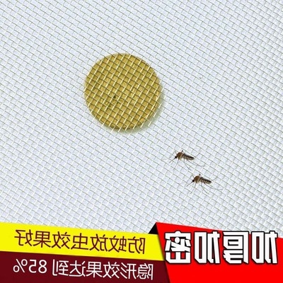 极速防蚊磁铁磁性网窗纱网不锈钢窗户沙窗帘R定做夏季 纱窗门帘