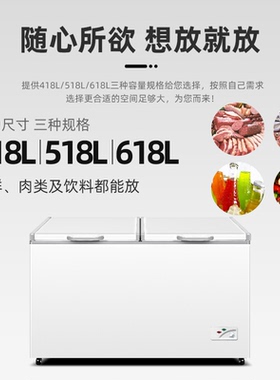 Frestec/新飞 BC/BD-418KHCT商用冷冻冷藏单温大冷柜深底卧式冰柜