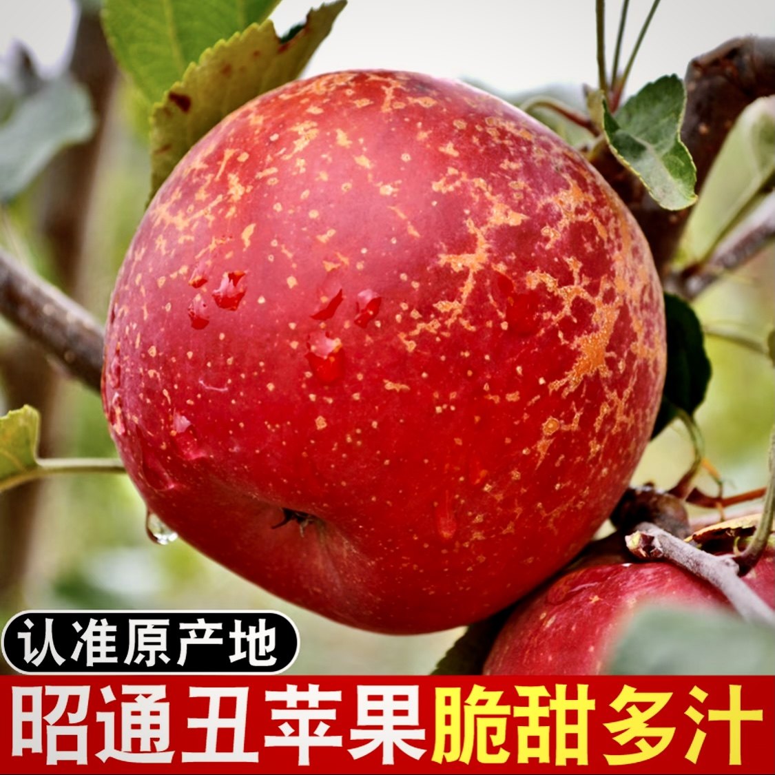 正宗云南昭通糖心丑苹果新鲜当季整箱红富士脆甜高端高档水果礼盒,水产肉类/新鲜蔬果/熟食,苹果,淘宝优惠券,粉丝福利购,淘宝优惠卷