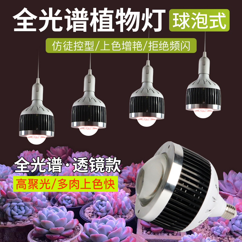 多肉补光灯全光谱led球泡筒灯家用上色防徒室内仿太阳植物生长灯