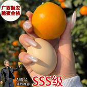 正宗融安脆蜜金桔小金桔脆蜜金柑纯甜多汁皮薄无籽现摘顺丰发