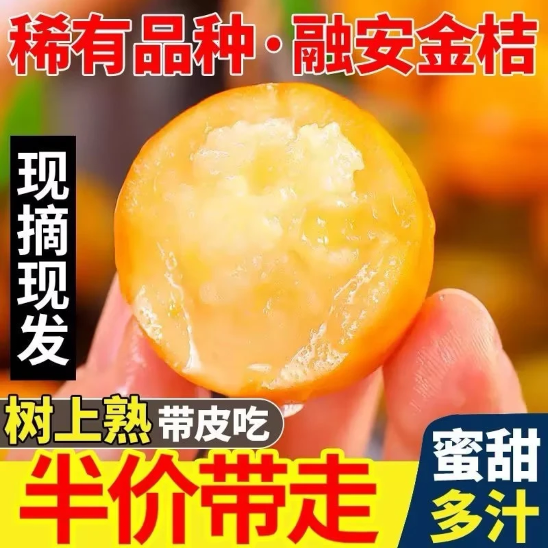 融安金桔鲜果滑皮金桔滑皮金柑